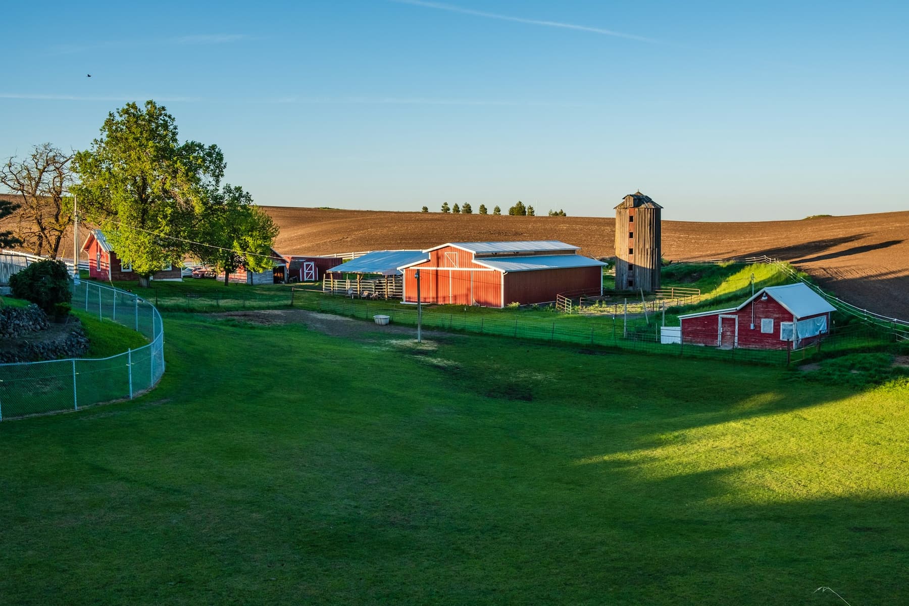Red farm buildings at the edge of a green field