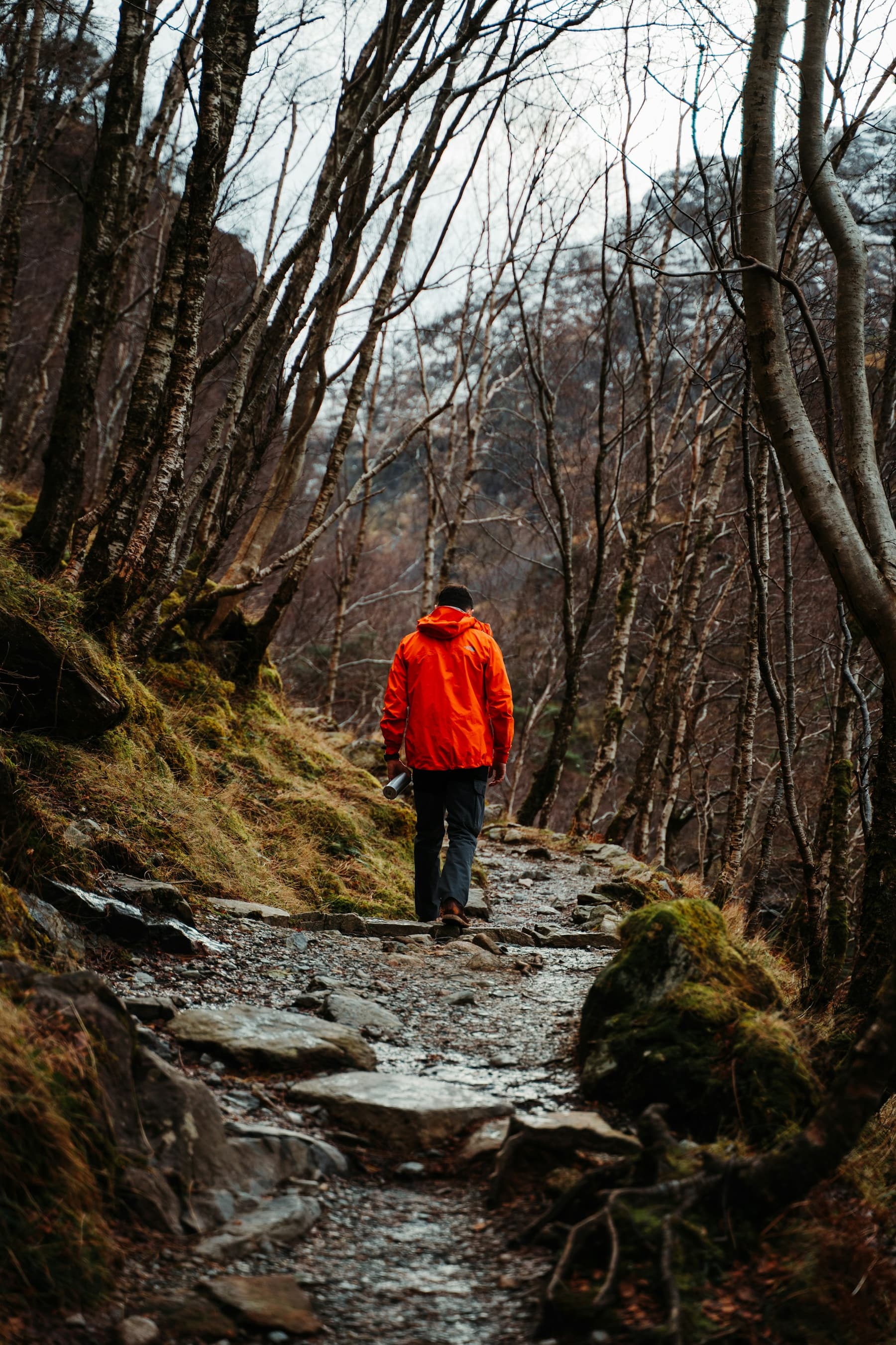 A man in a red jacket walking away along a forest trail