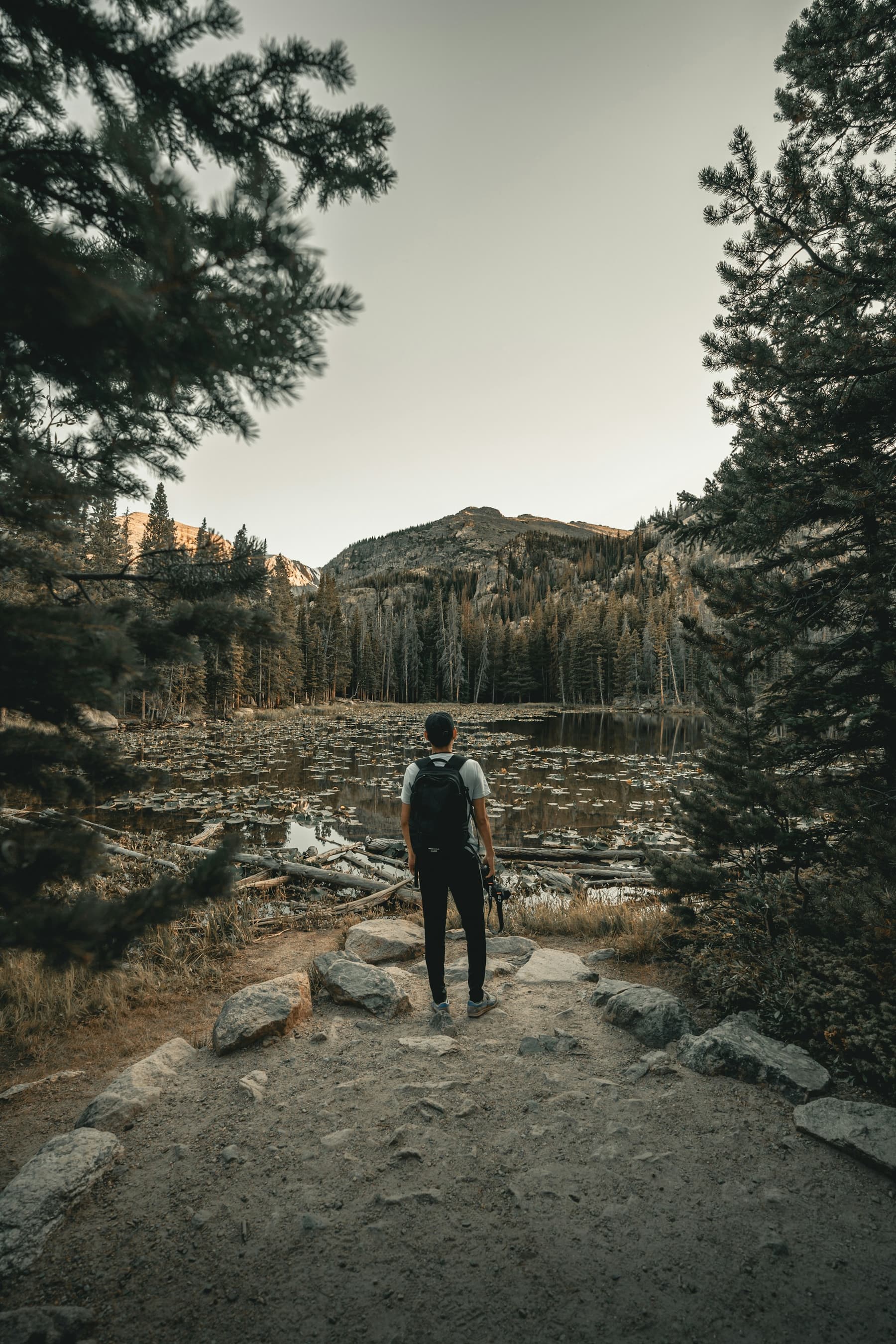 A man with a backpack standing among trees, looking out at a mountain lake