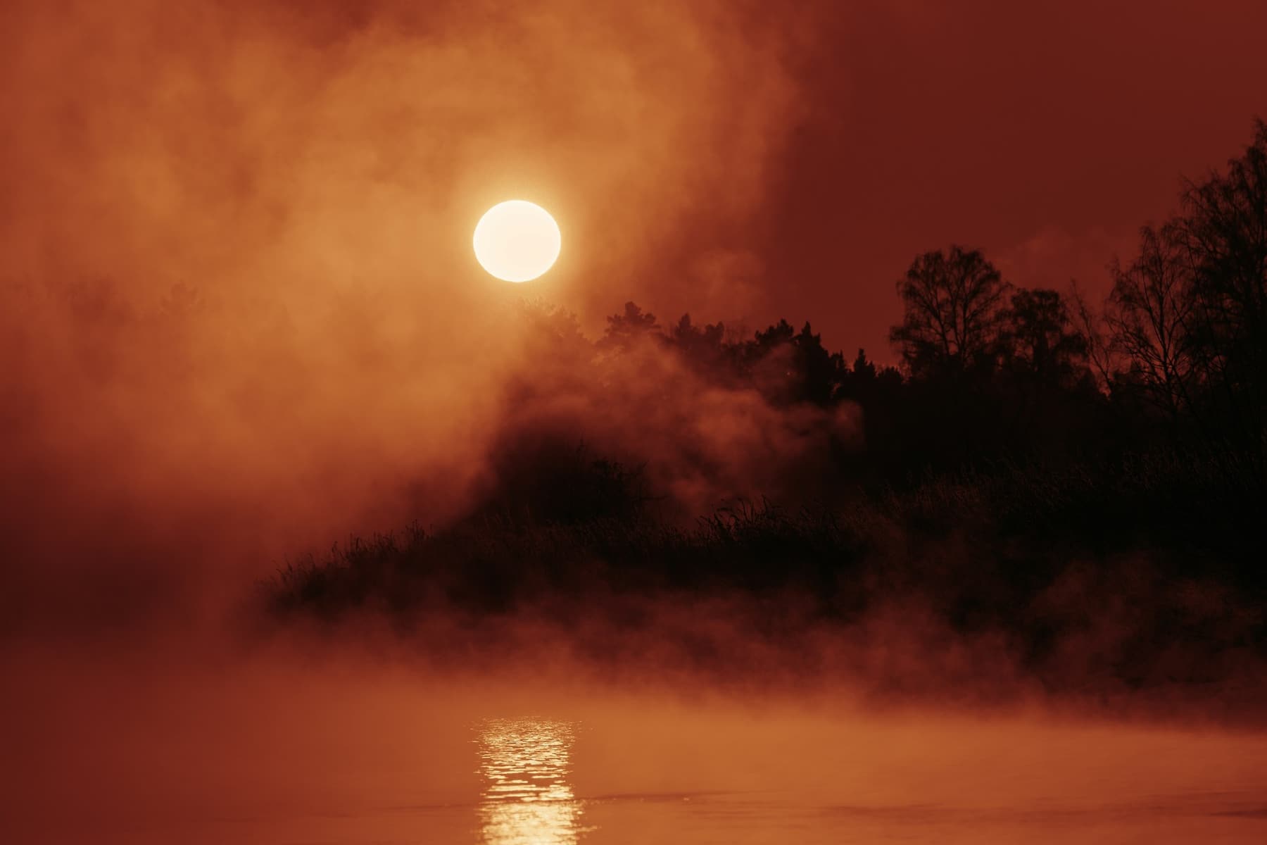 Mist over a calm lake at sunrise