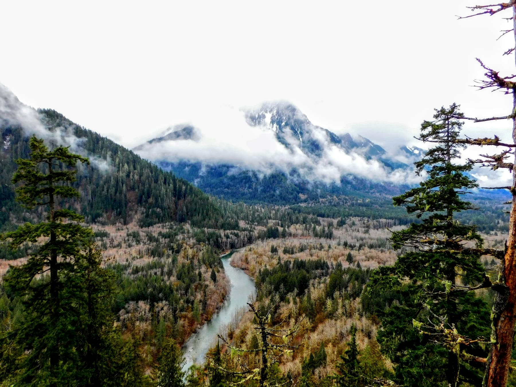 A river winding through a forested valley below cloud-topped mountains